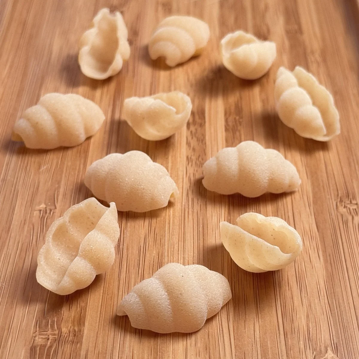 Conchiglie - Image 3